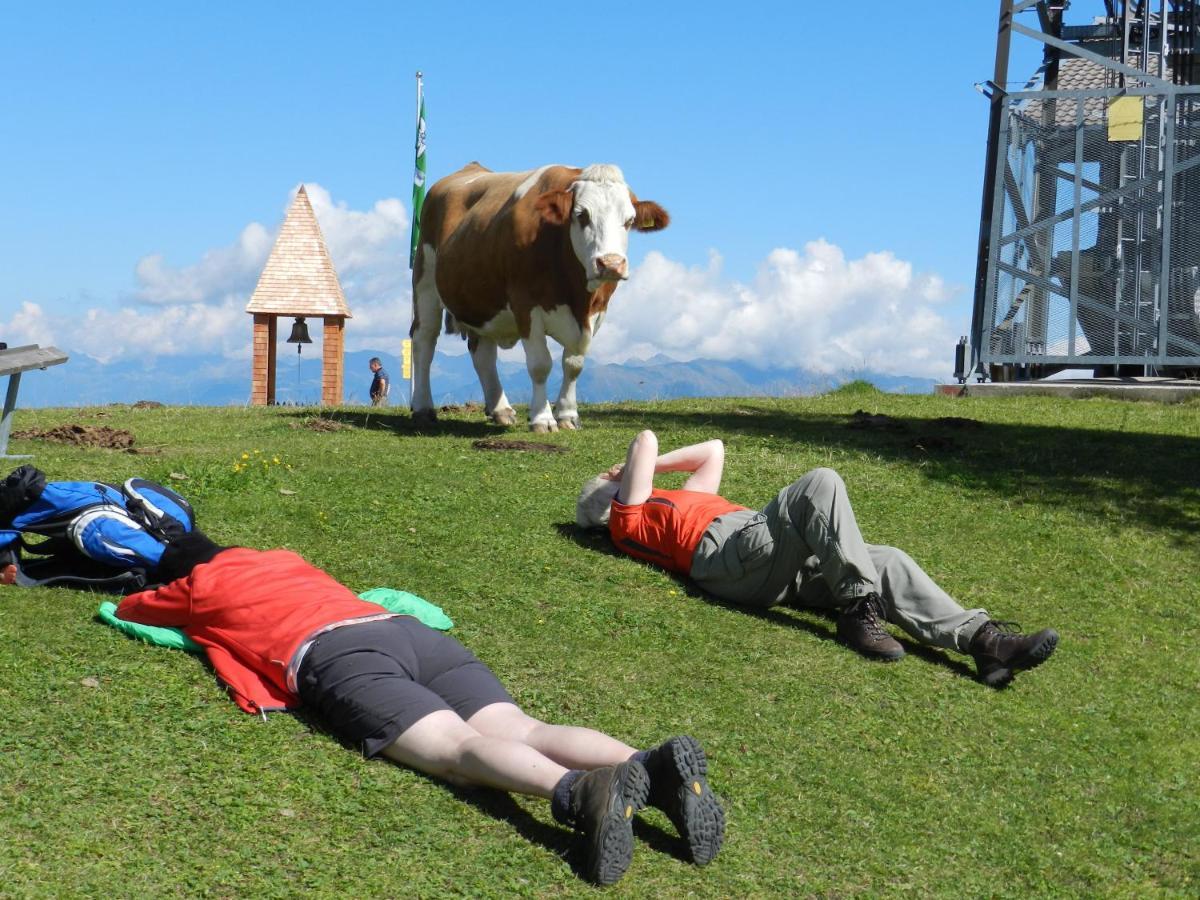 Ferienhaeuser Thalbach Heiligenblut Dış mekan fotoğraf